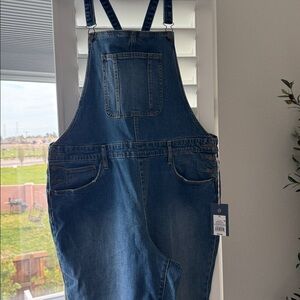 40 - NWT Universal Threads Overalls